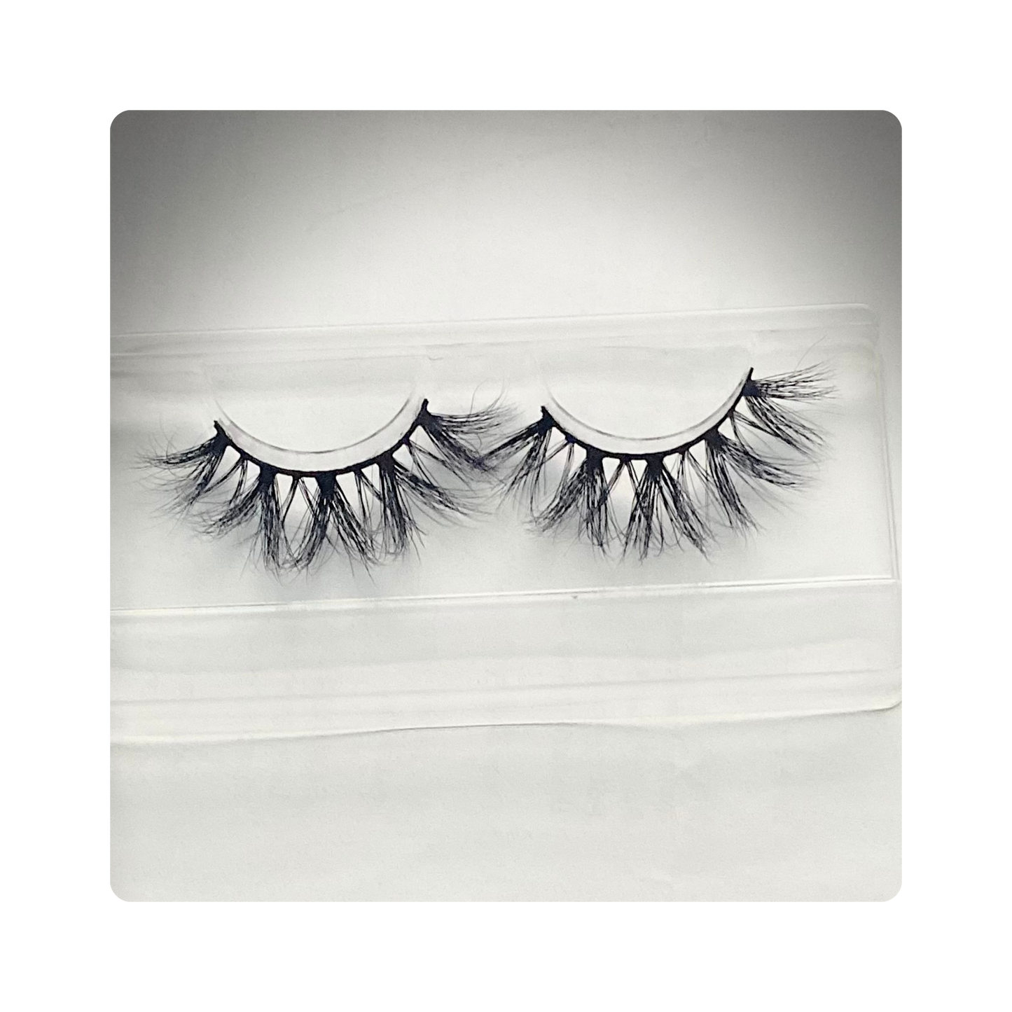 Sugar Plum - Lashes